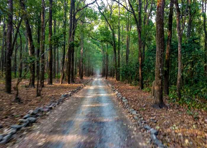 Kadaladi Forest Reserve