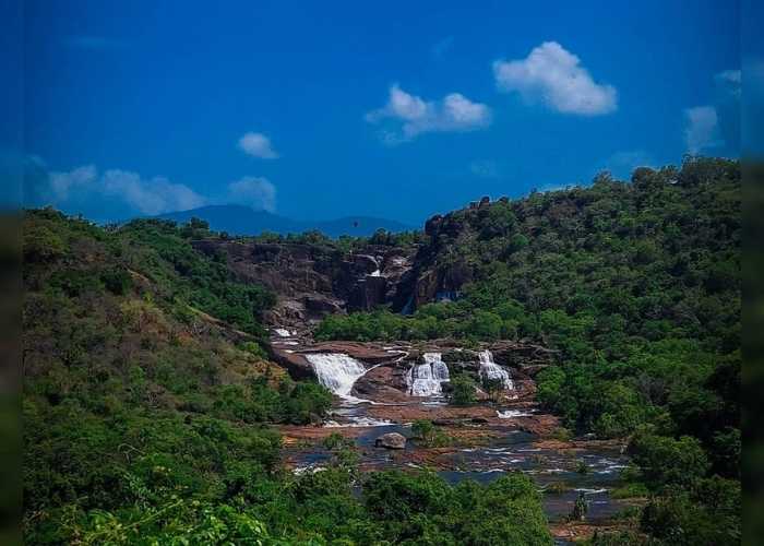 Agasthiyar Falls