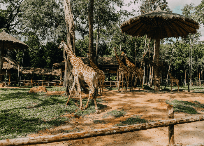 Peppara Wildlife Sanctuary