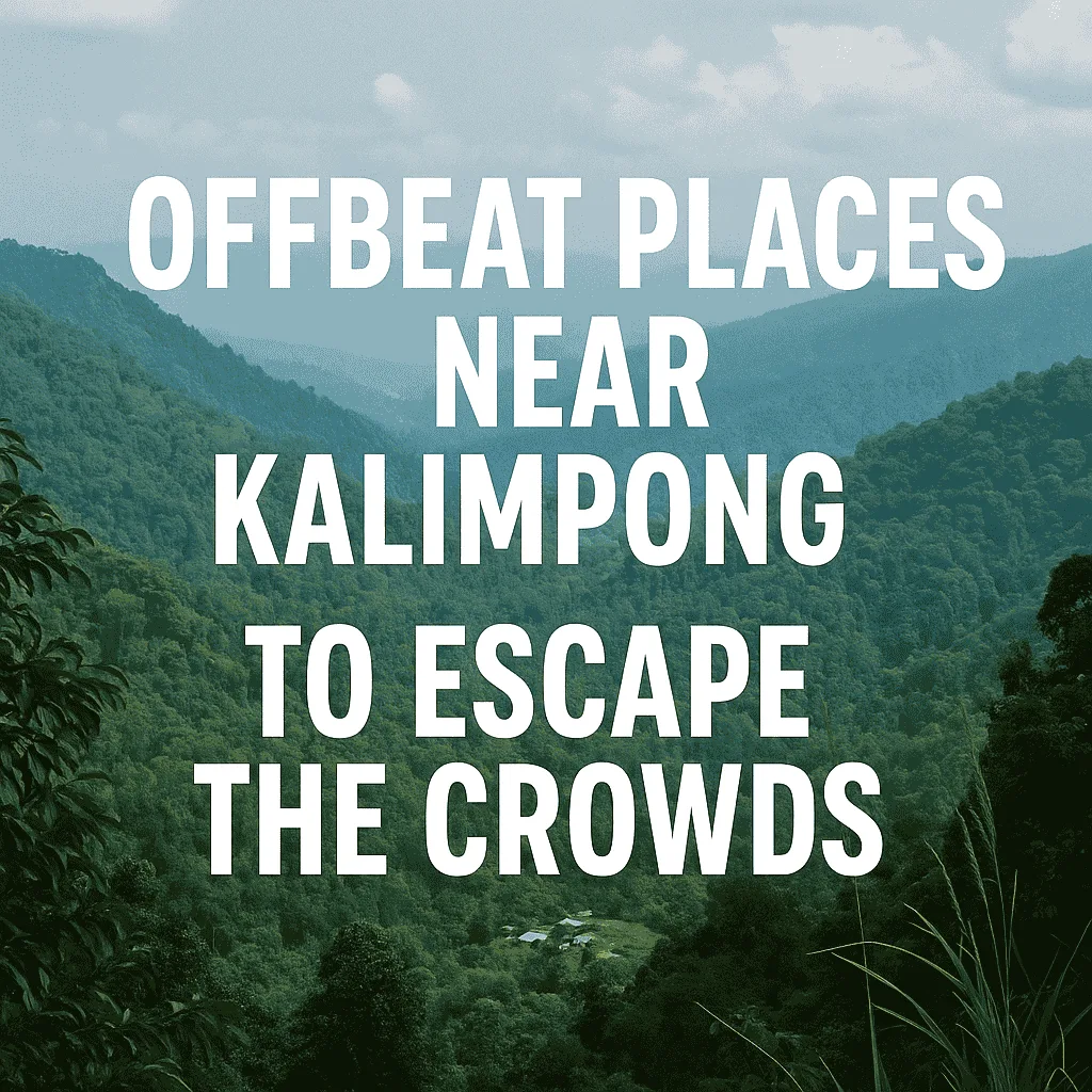 Peaceful nature trail through pine forest near Kalimpong with no crowds in sight